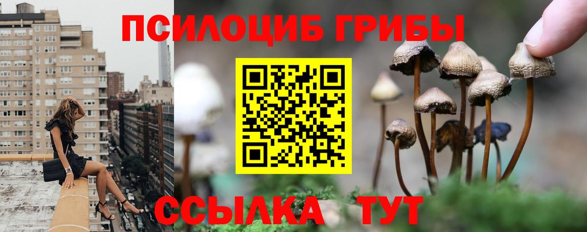 Шали  Псилоцибиновые грибы MAGIC MUSHROOMS  Вход с VPN 
